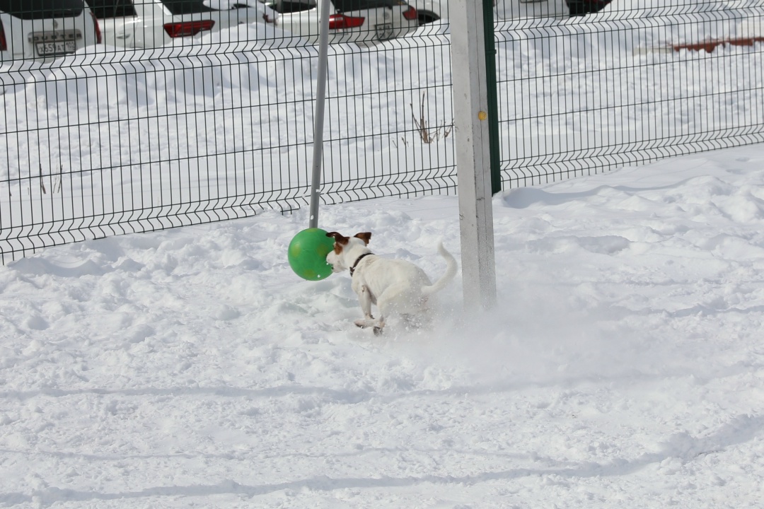 ТРЕНИРОВКА ХОККЕИСТОВ Наша хоккейная команда «Гелий» отлично выступила в Южно-Сахалинске, на зимней Спартакиаде дальневосточных компаний Группы "Газпром"