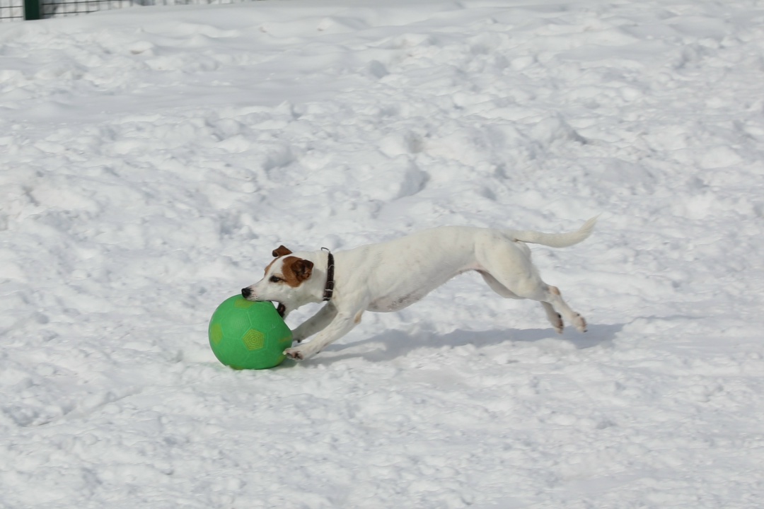 ТРЕНИРОВКА ХОККЕИСТОВ Наша хоккейная команда «Гелий» отлично выступила в Южно-Сахалинске, на зимней Спартакиаде дальневосточных компаний Группы "Газпром"