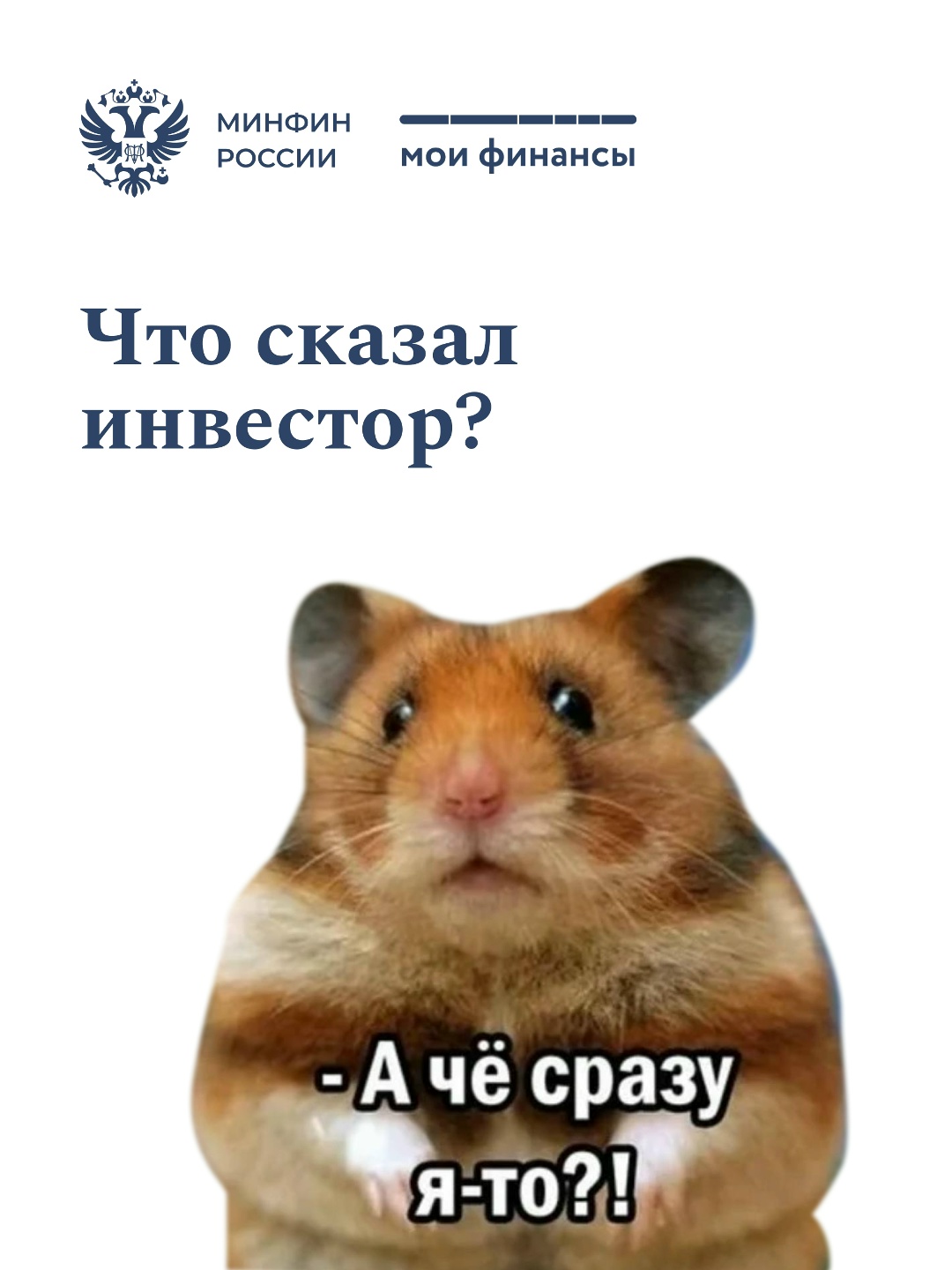 Готовы инвестировать? «Хомяки режут лося», «мамба» и «дядя Коля» в трейдинге – если эти фразы ставят вас в тупик, возможно, вы говорите с рынком на разных…