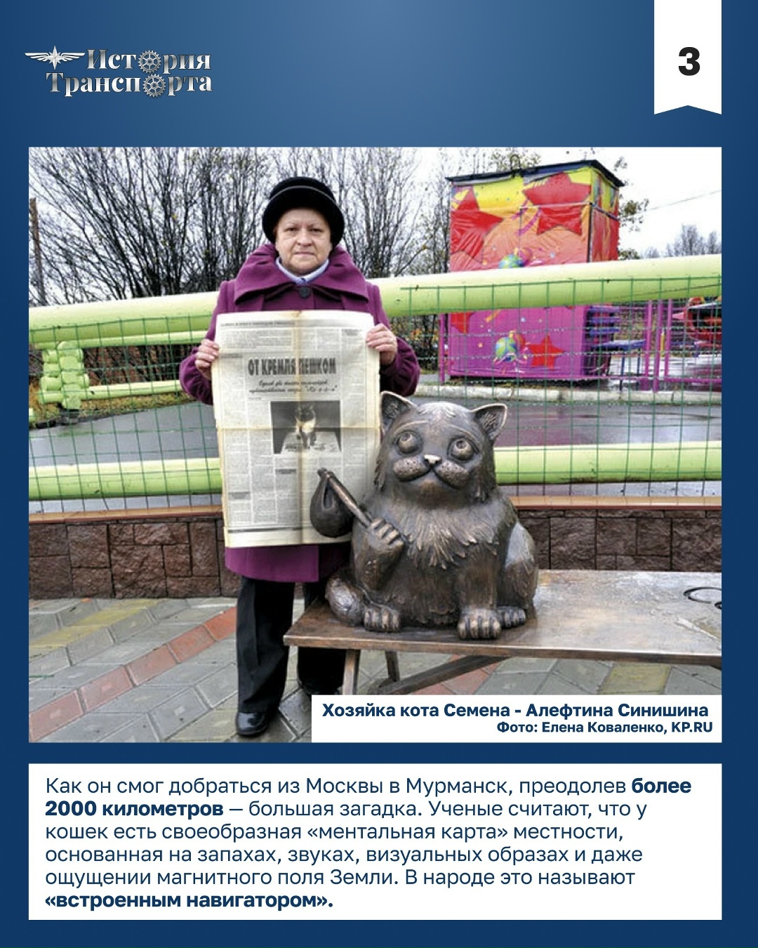 28 марта – День уважения кошек В честь праздника посвящаем нашу рубрику «усатому» путешественнику – коту Семену: он начал путь в машине, потерялся в Москве…