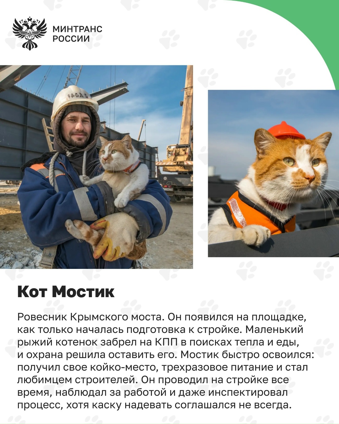 Пушистые сотрудники транспорта После путешественника Семена, который вернулся домой через тысячи километров, знакомим вас с котами, которые стали частью…