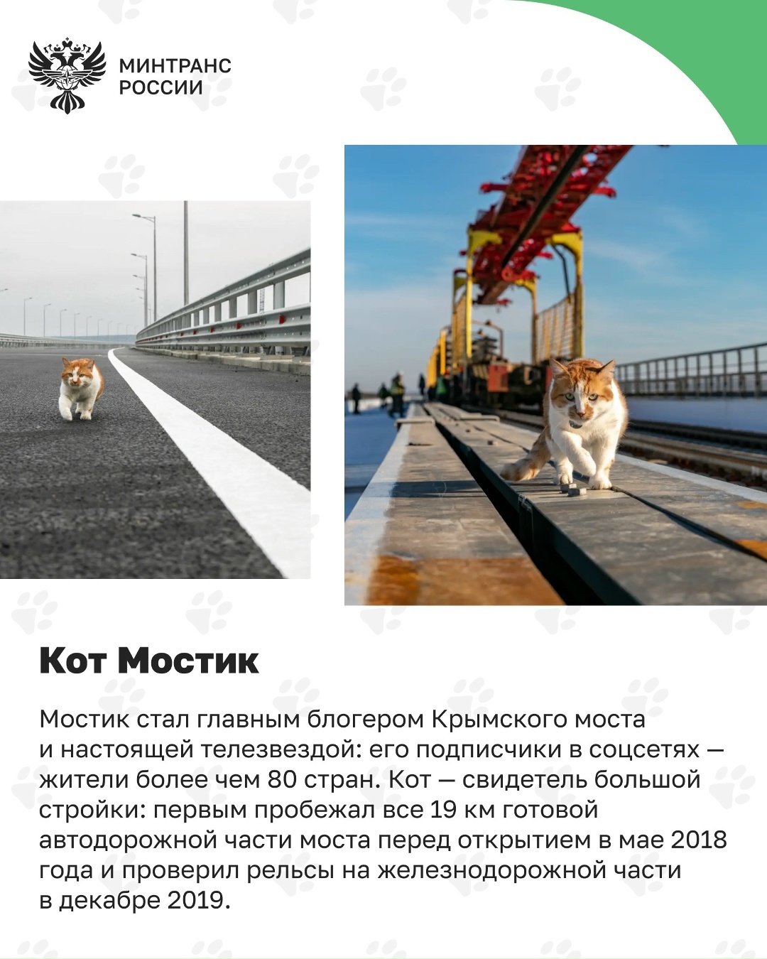 Пушистые сотрудники транспорта После путешественника Семена, который вернулся домой через тысячи километров, знакомим вас с котами, которые стали частью…