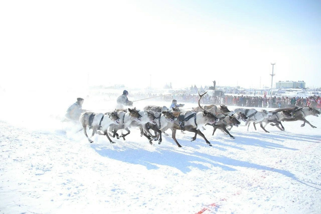 ЭТНОвыходные ЛУКОЙЛ помог в проведении праздников коренных народов Севера сразу в трёх регионах: