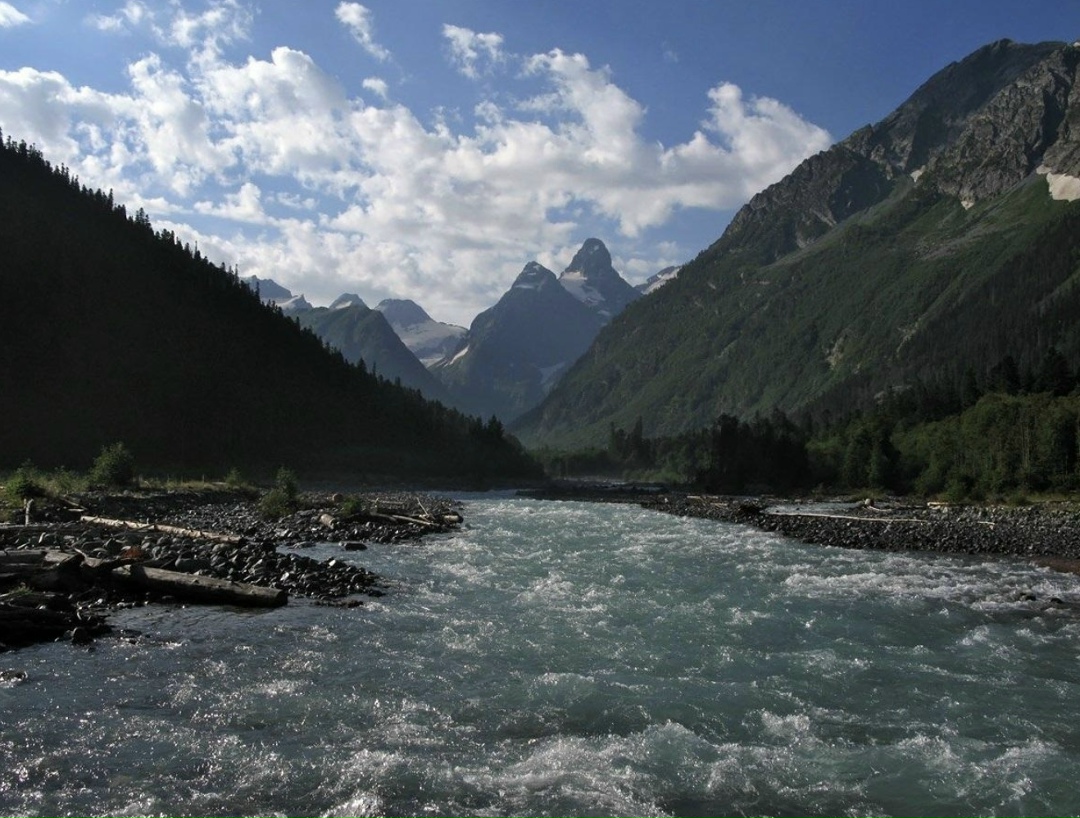 В Дагестане из-за дождей, которые привели к разливу горных рек и наводнению, пострадали посадки овощей, рисовые поля, плодовые сады и ягодные насаждения