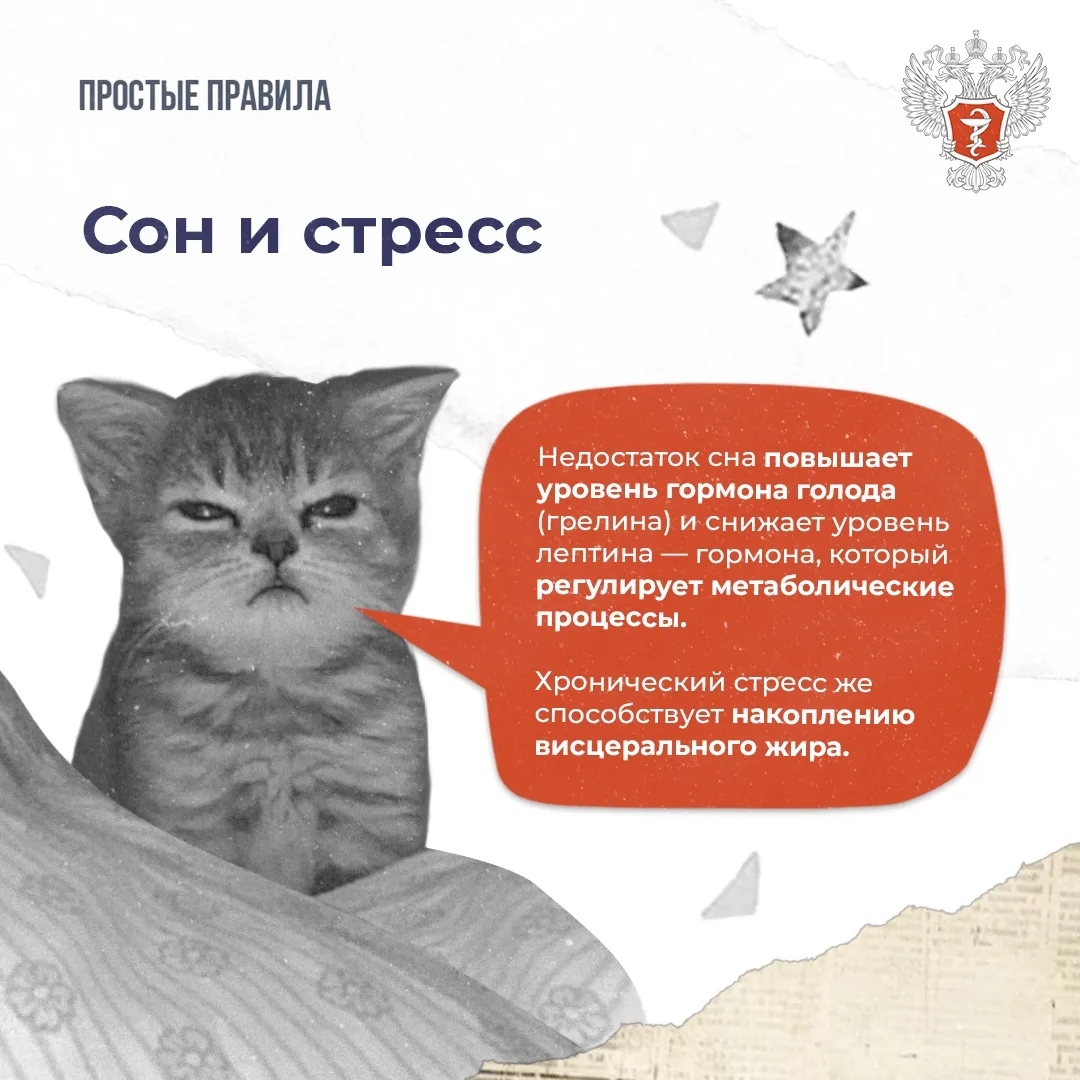 #ПростыеПравила: Как похудеть без вреда для здоровья