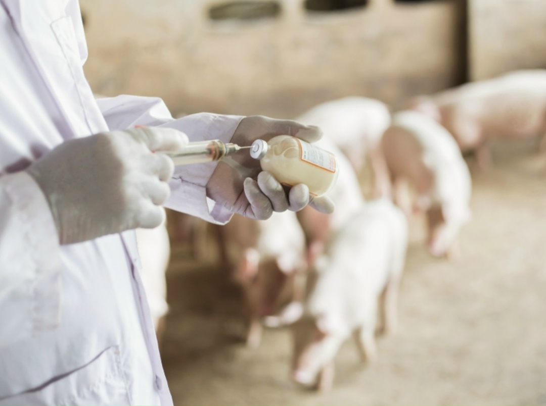 Президент Владимир Путин утвердил создание научно-производственного объединения «Российская биологическая промышленная компания»