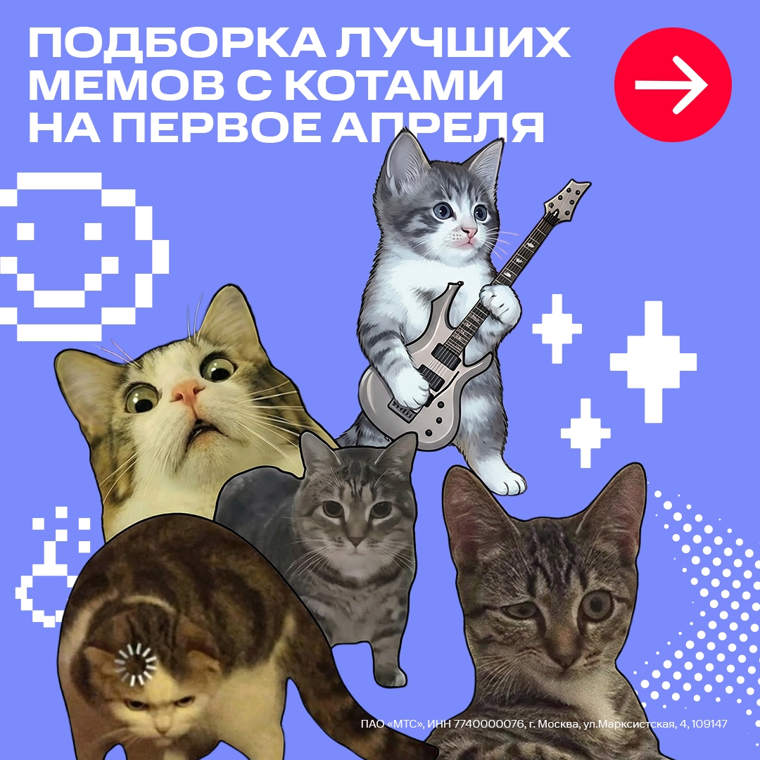 Делу время, а потехе — хе-хе-хе. В День смеха собрали для вас подборку самых забавных мемов с котиками. Стоп, где подборка? Неужели потерялась?..