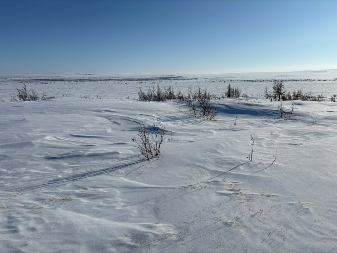 Дороги, которых нет на карте Каждую зиму на Таймыре происходит чудо: там, где ещё недавно были только бескрайние снега, появляются сотни километров дорог.