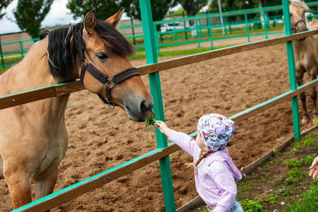 Татнефть удостоена высшей награды в сфере корпоративной ответственности