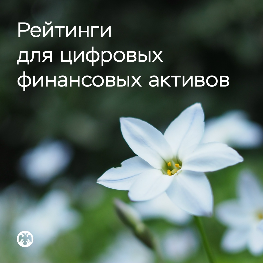 Рейтинги для цифровых финансовых активов