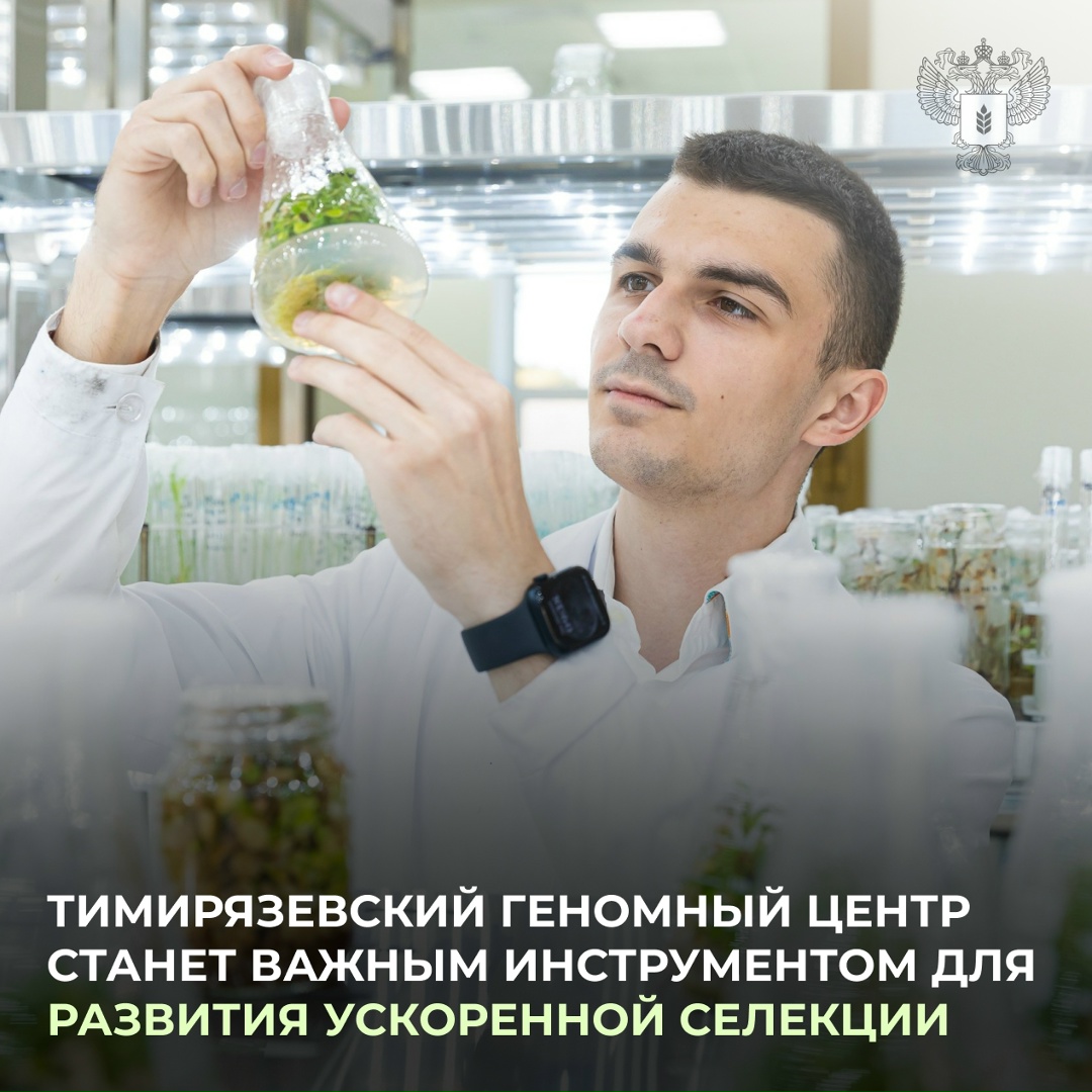 Оксана Лут провела совещание по работе платформы предиктивной селекции на базе Тимирязевского геномного центра.