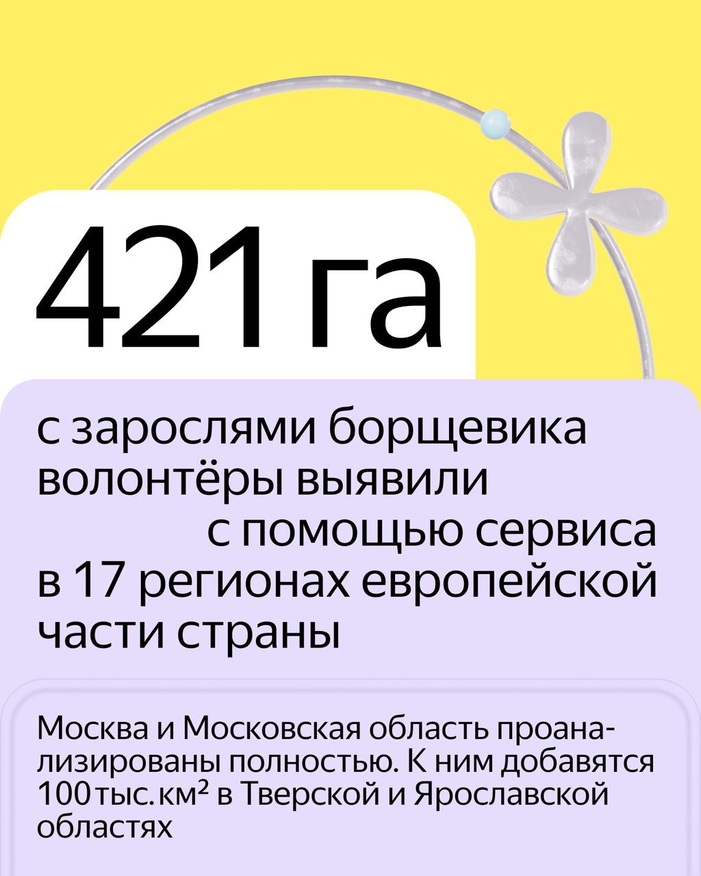 Нейросеть научили находить борщевик на спутниковых снимках. Новый сервис поможет найти растение на территории и спланировать работы по уборке: