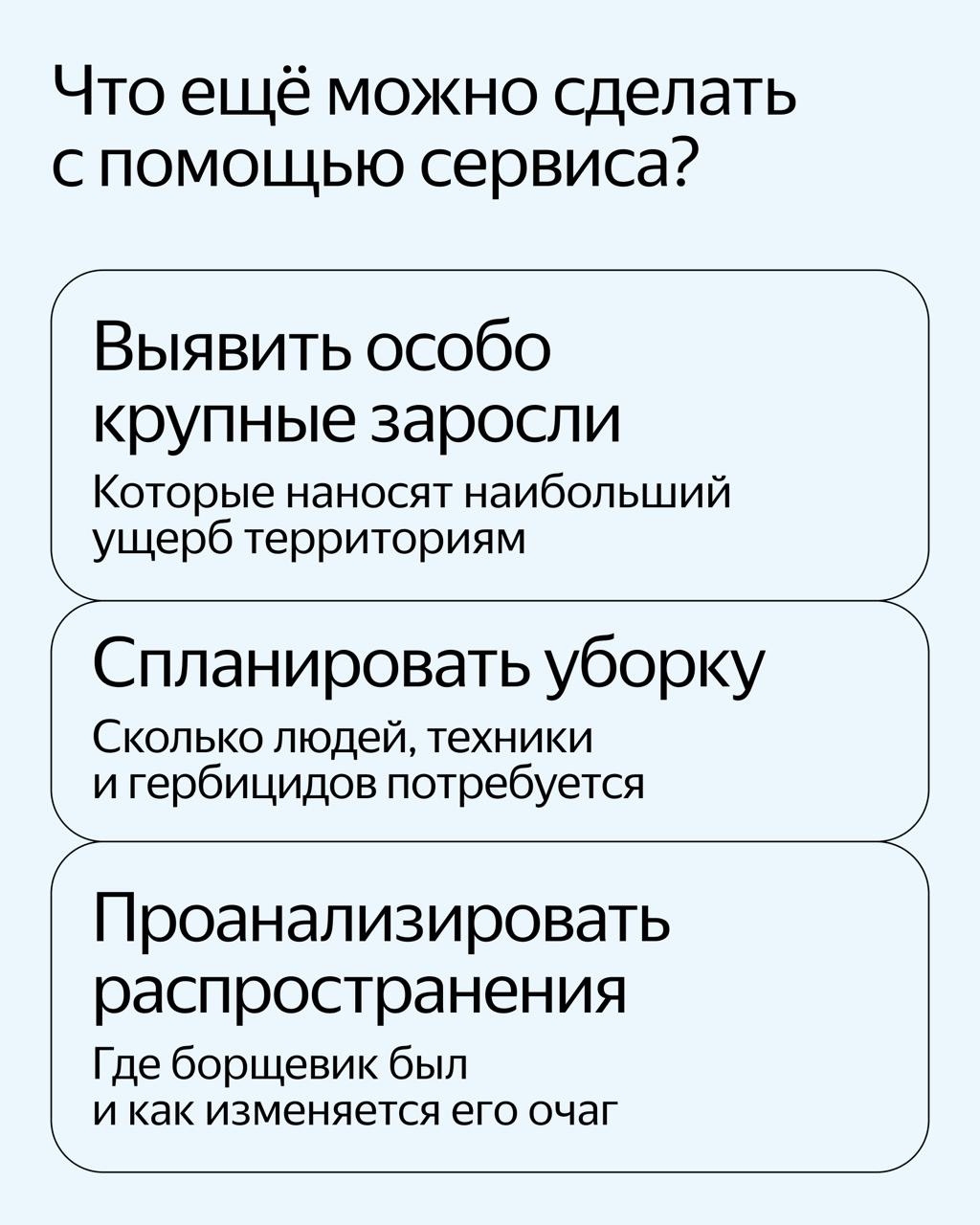 Нейросеть научили находить борщевик на спутниковых снимках. Новый сервис поможет найти растение на территории и спланировать работы по уборке:
