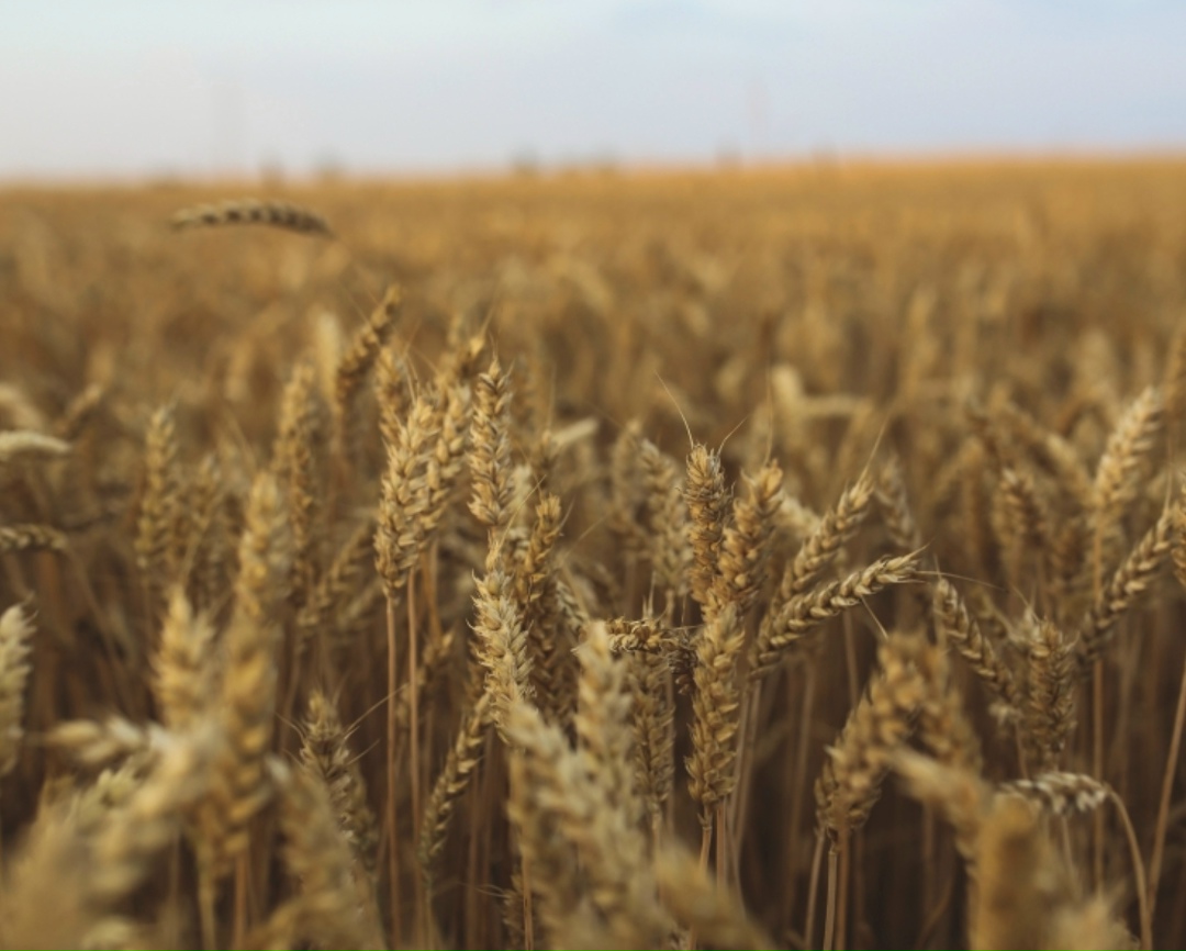 Самое интересное за неделю с 30 марта по 5 апреля