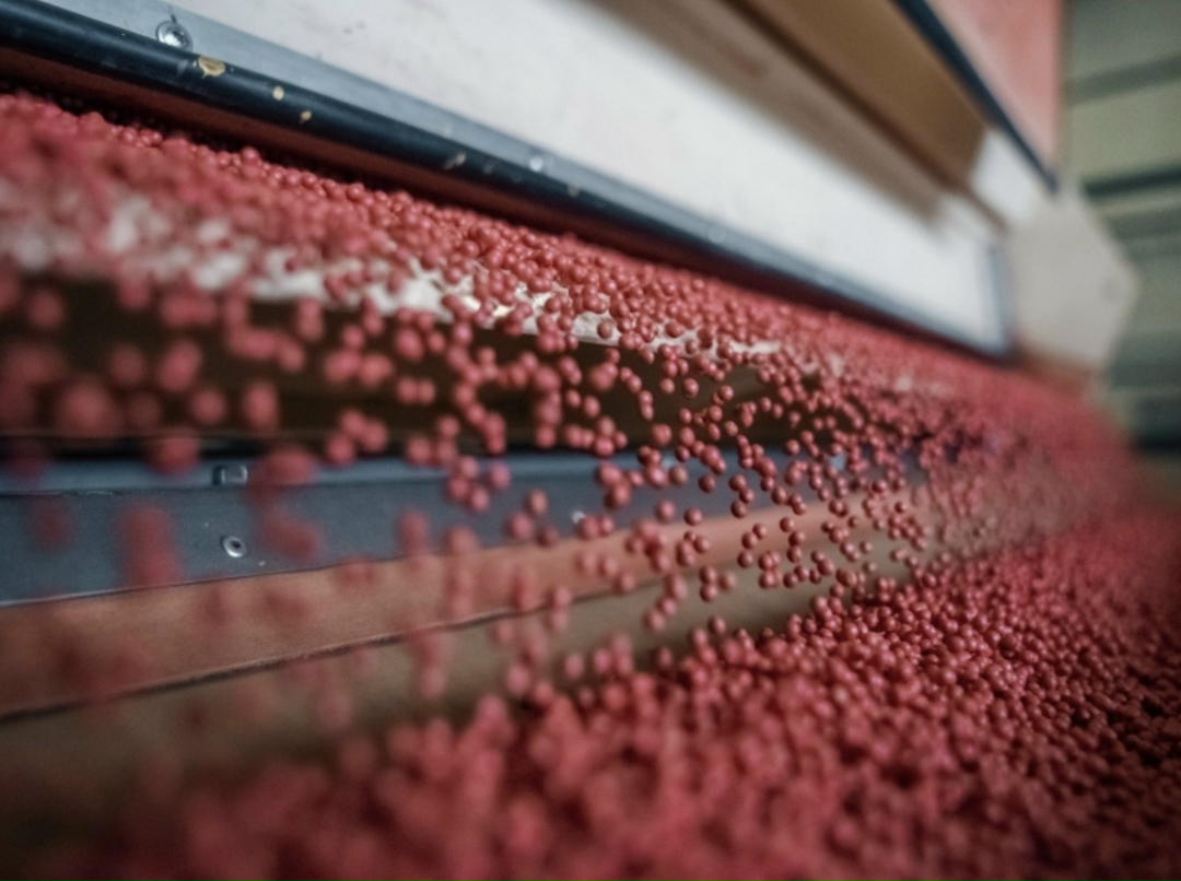 Минсельхоз ставит задачу повысить скорость селекционной работы и сократить сроки создания новых сортов и гибридов до двух-трех лет