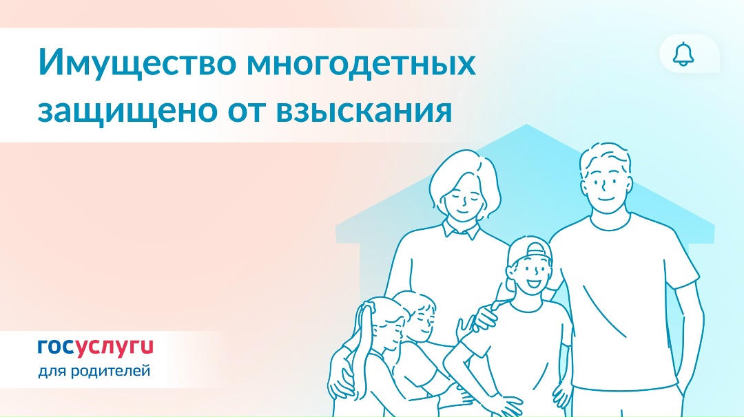 Авто и земля многодетных: что будет защищено от взыскания