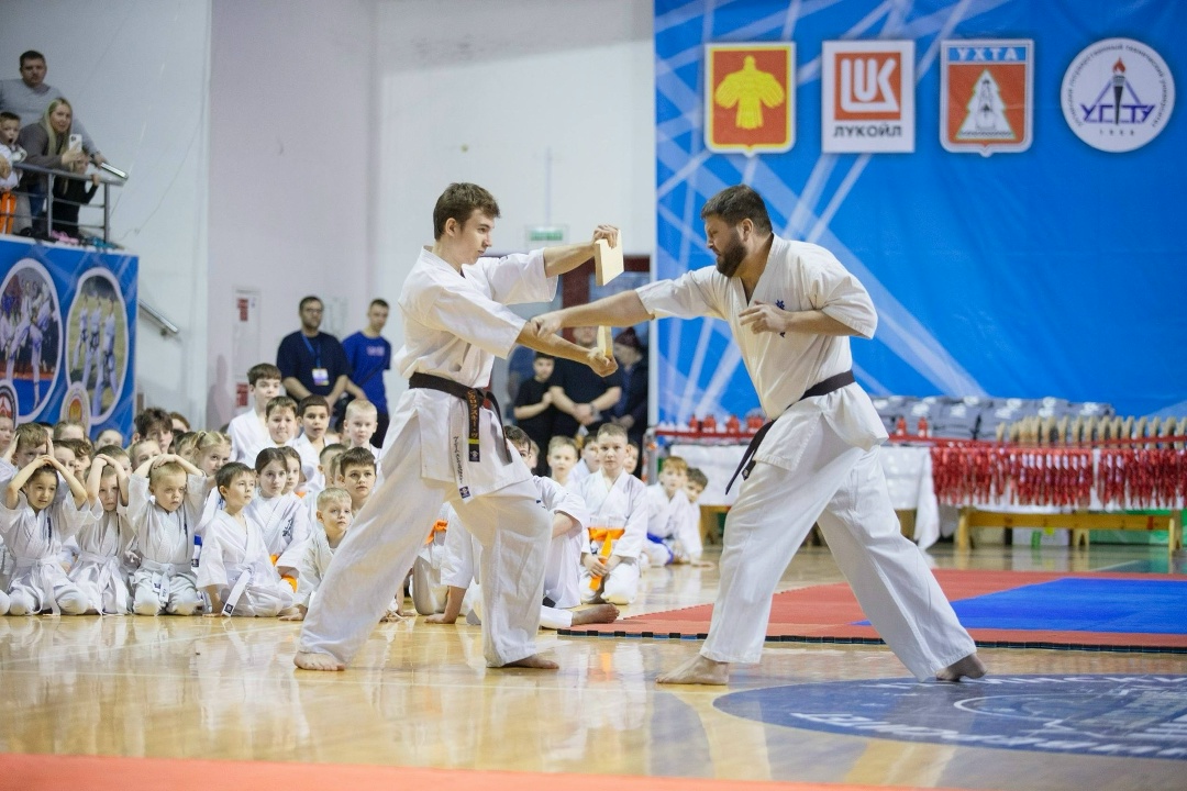 ЛУКОЙЛ поддержал проведение VII Недели единоборств в Ухте