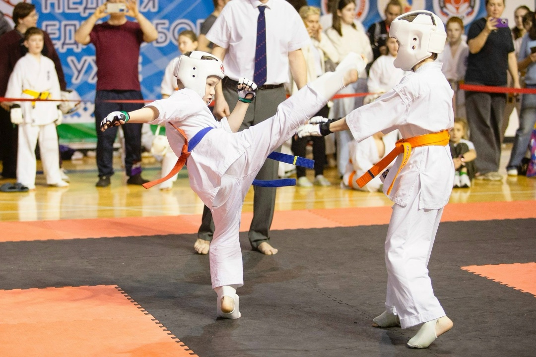 ЛУКОЙЛ поддержал проведение VII Недели единоборств в Ухте