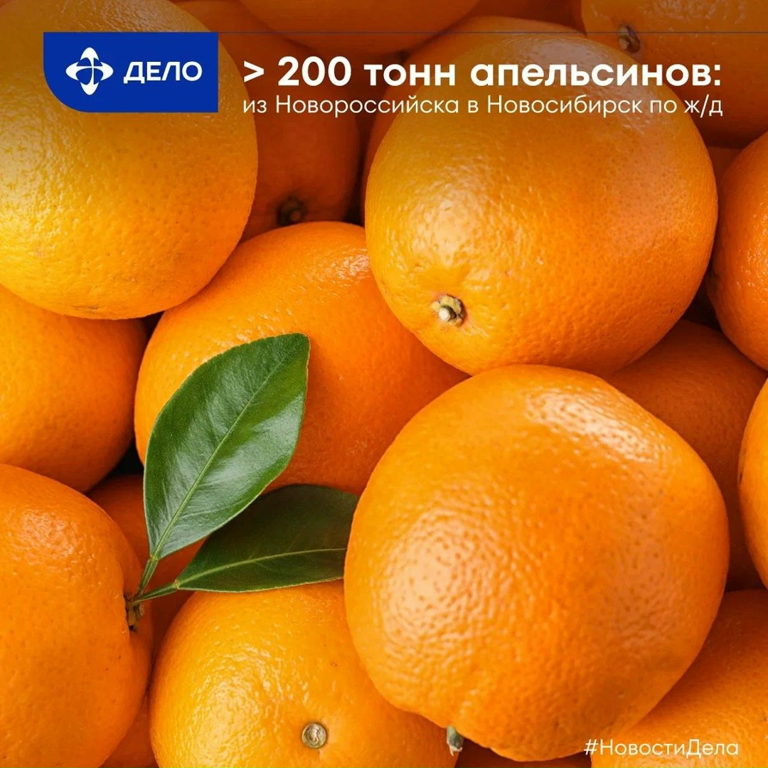 Логистика со вкусом Делимся полезным во всех смыслах кейсом: отправили более 200 тонн египетских апельсинов из Новороссийска в Новосибирск, предложив…