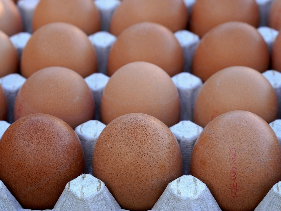 ФАС сообщила, что проанализирует ценообразование на куриные яйца и питьевое молоко в рознице