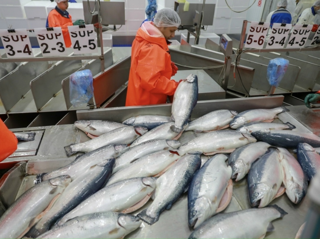 Законопроект об обязательной продаже части продукции на бирже внесен в Госдуму группой депутатов и сенаторов