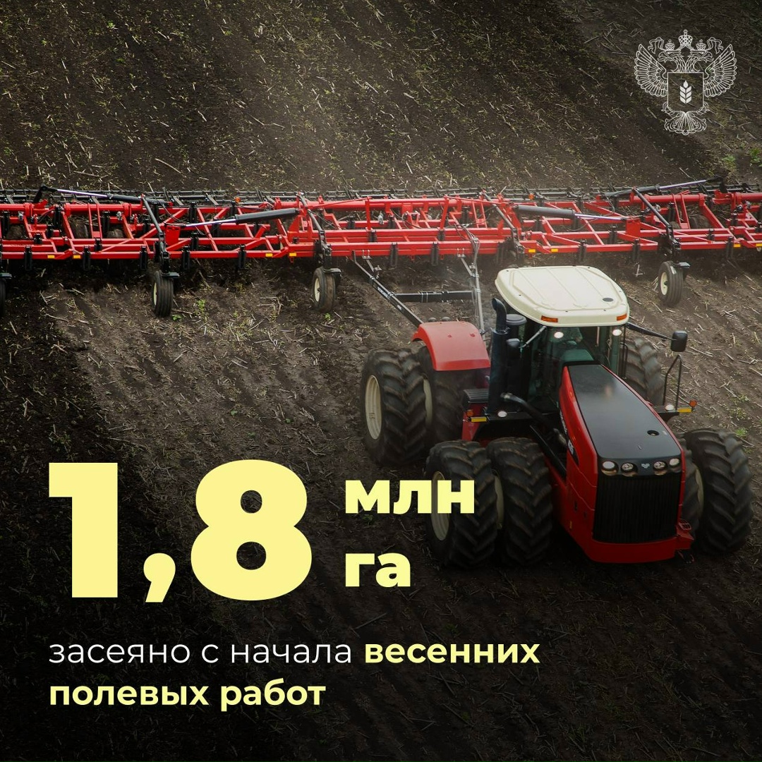 Темпы посевной опережают прошлогодние