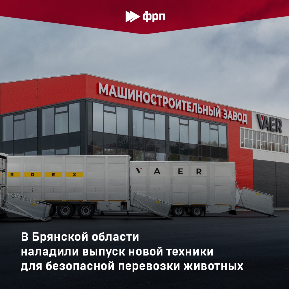 И для свиней и для коров! Группа компаний ВАЕР начала в Брянске выпуск новой модели полуприцепа и разгрузочно-погрузочной платформы для животноводства Berdex