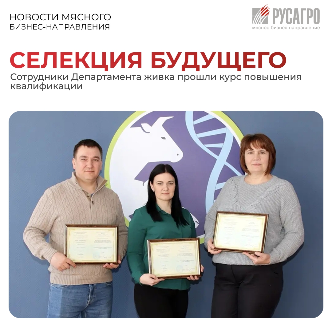 Сотрудники Департамента живка Мясного бизнеса «Русагро» завершили обучение во Всероссийском научно-исследовательском институте племенного дела