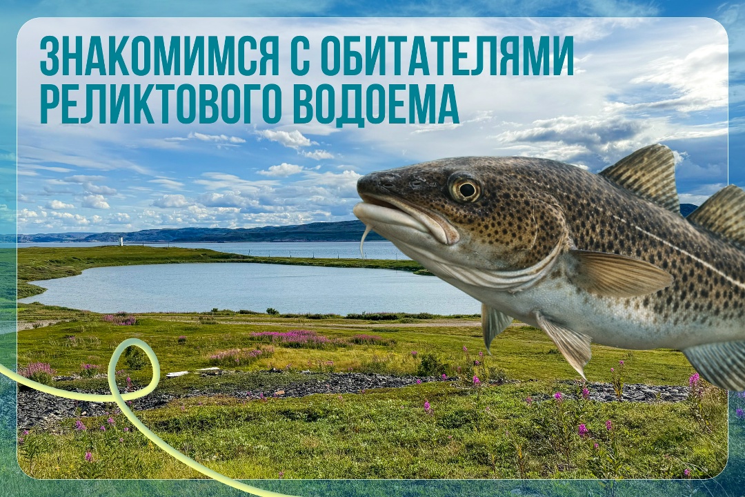 Пресное и соленое одновременно: как устроено самое необычное озеро России