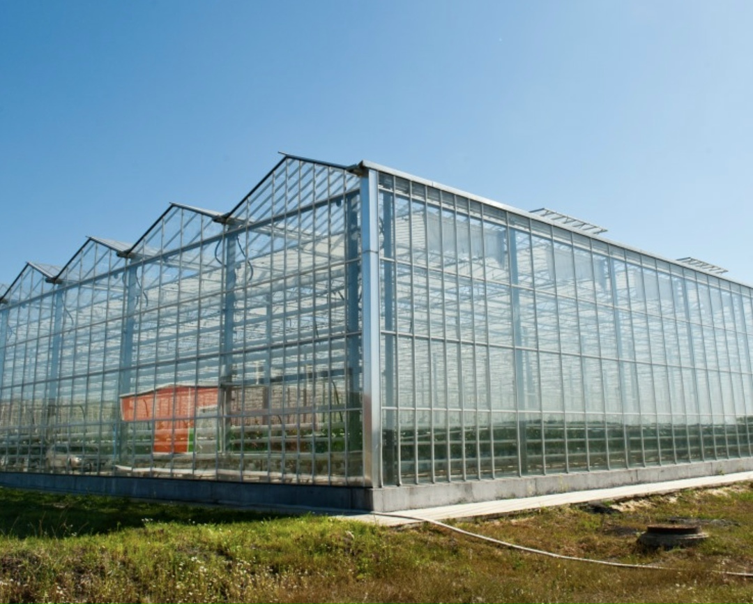 Модернизация тепличного комплекса «Южный» в Ростовской области завершится до конца этого года. Инвестиции в проект оцениваются в 3,7 млрд руб. «По итогам…