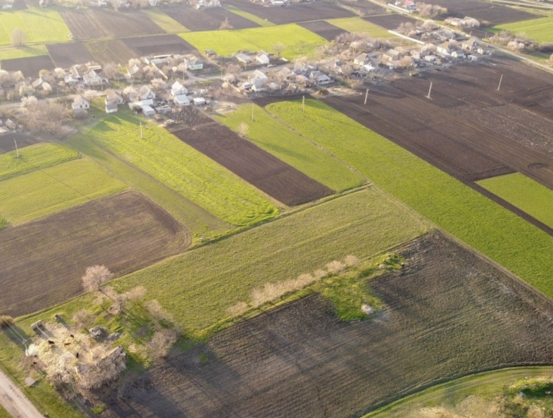 Суд за землю. Судебная практика изменилась: фермерам стали отказывать в аренде сельхозземель в населенных пунктах без торгов