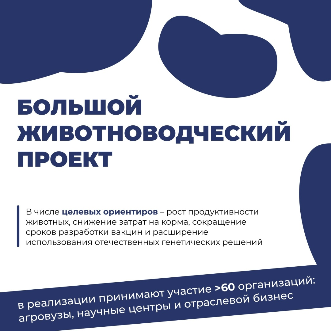 Большой животноводческий проект позволит сформировать единую технологическую базу для развития отрасли