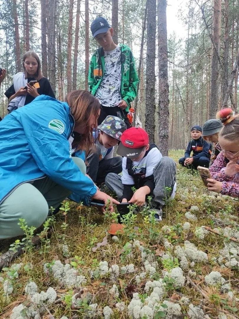 Любители природной красоты Инициатива, поддержанная ЛУКОЙЛом, получила награду как лучший экопросветительский проект от Союза фотографов дикой природы.