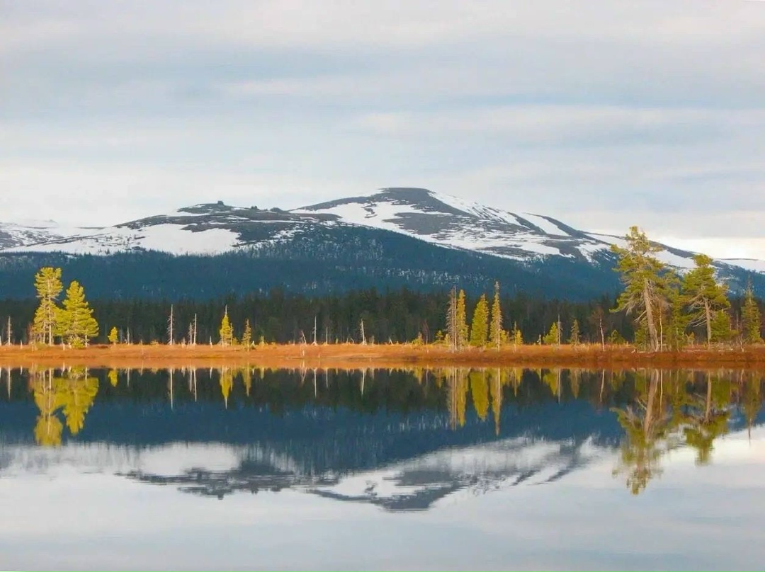 Любители природной красоты Инициатива, поддержанная ЛУКОЙЛом, получила награду как лучший экопросветительский проект от Союза фотографов дикой природы.