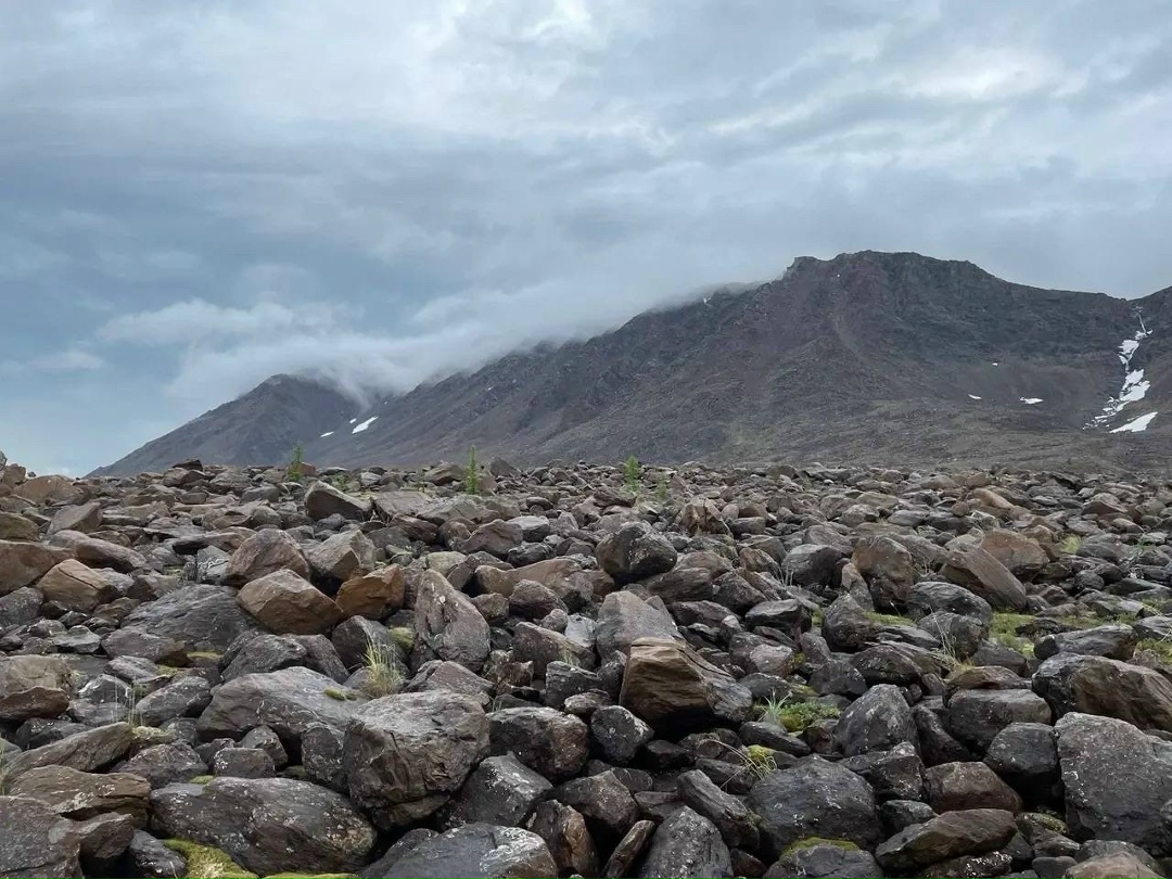 Любители природной красоты Инициатива, поддержанная ЛУКОЙЛом, получила награду как лучший экопросветительский проект от Союза фотографов дикой природы.