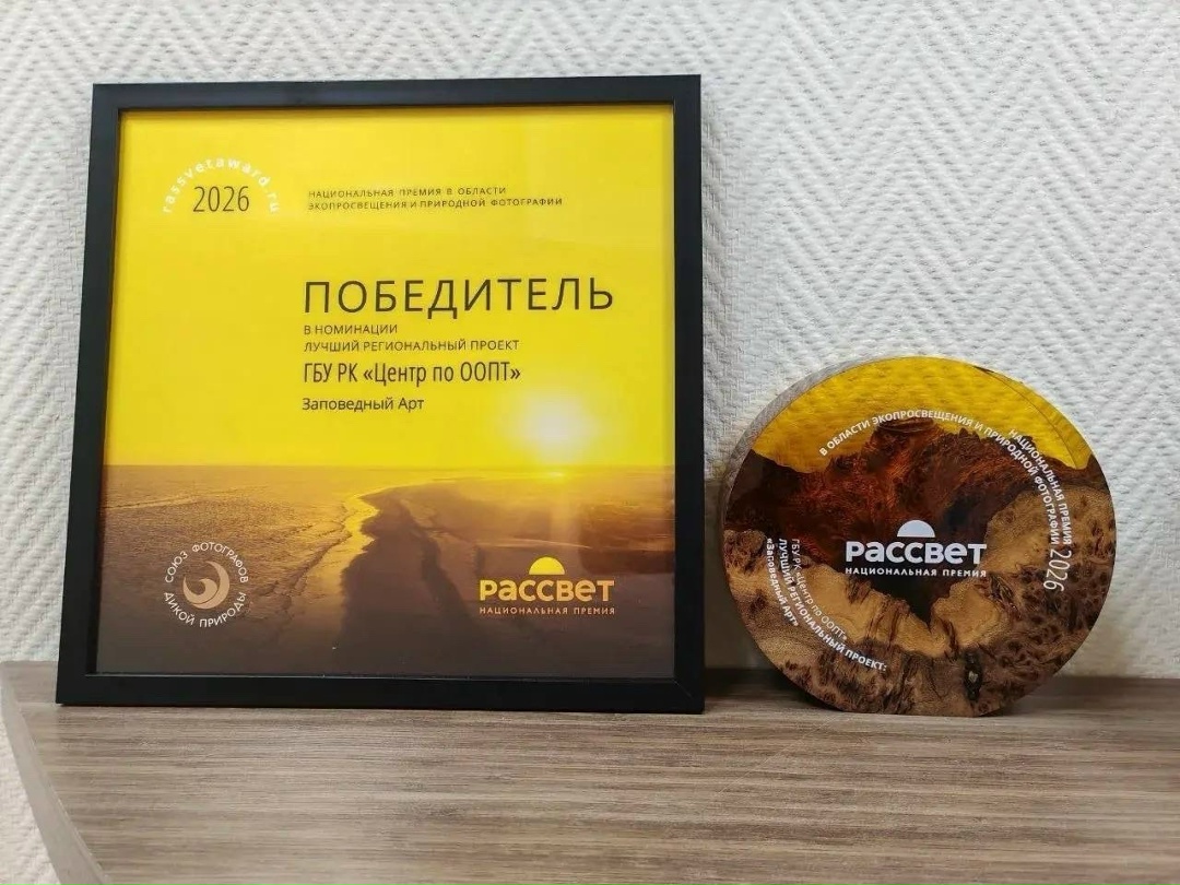 Любители природной красоты Инициатива, поддержанная ЛУКОЙЛом, получила награду как лучший экопросветительский проект от Союза фотографов дикой природы.