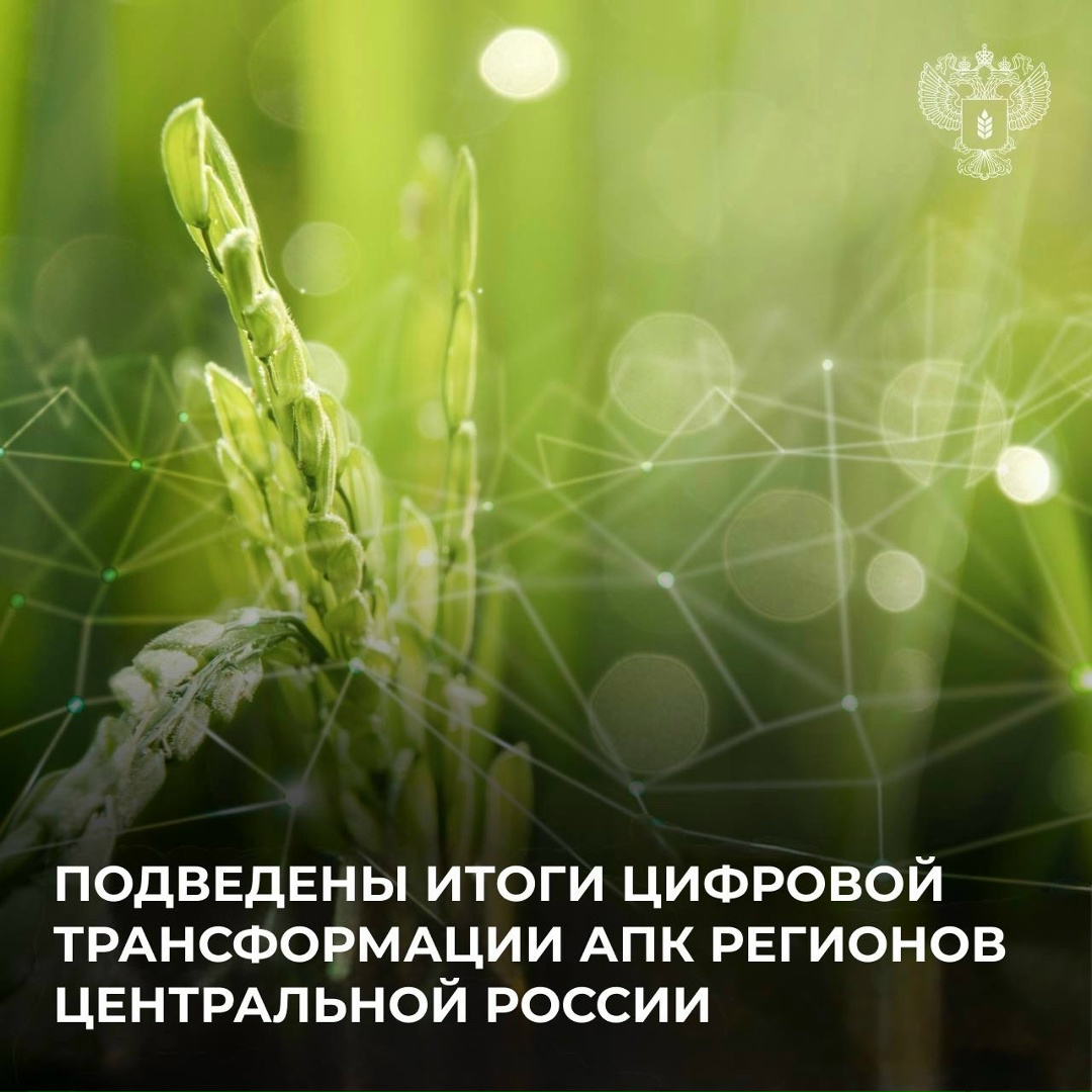 Минсельхоз подвел итоги рейтинга цифровой трансформации АПК в ЦФО