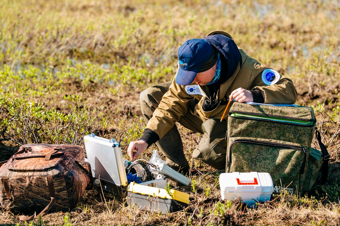 Как построить будущее в Арктике? Спросим у науки!