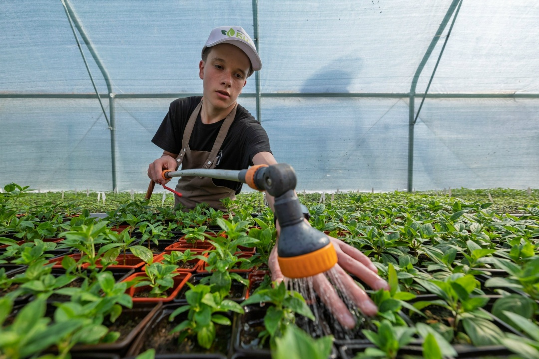 Альметьевск как модель развития креативной экономики