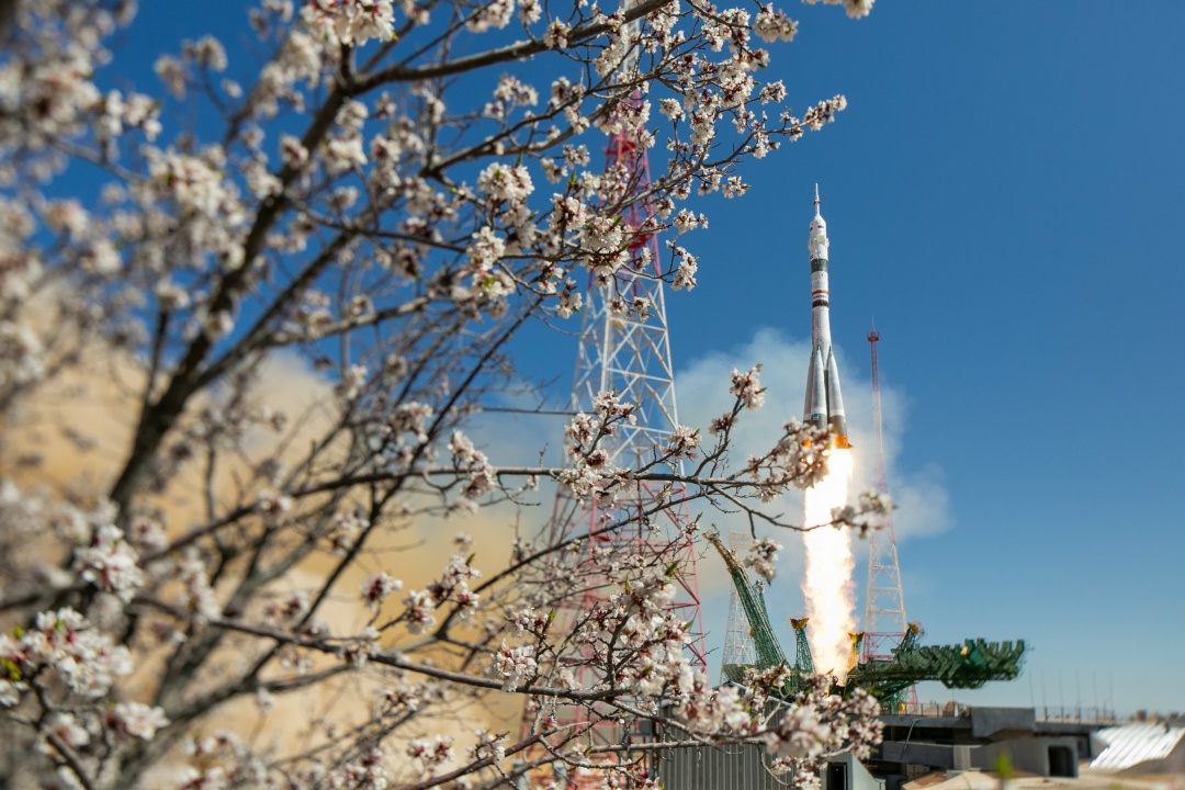 #Когнитивная_Витаминка Выпуск № 324 11.04.2026