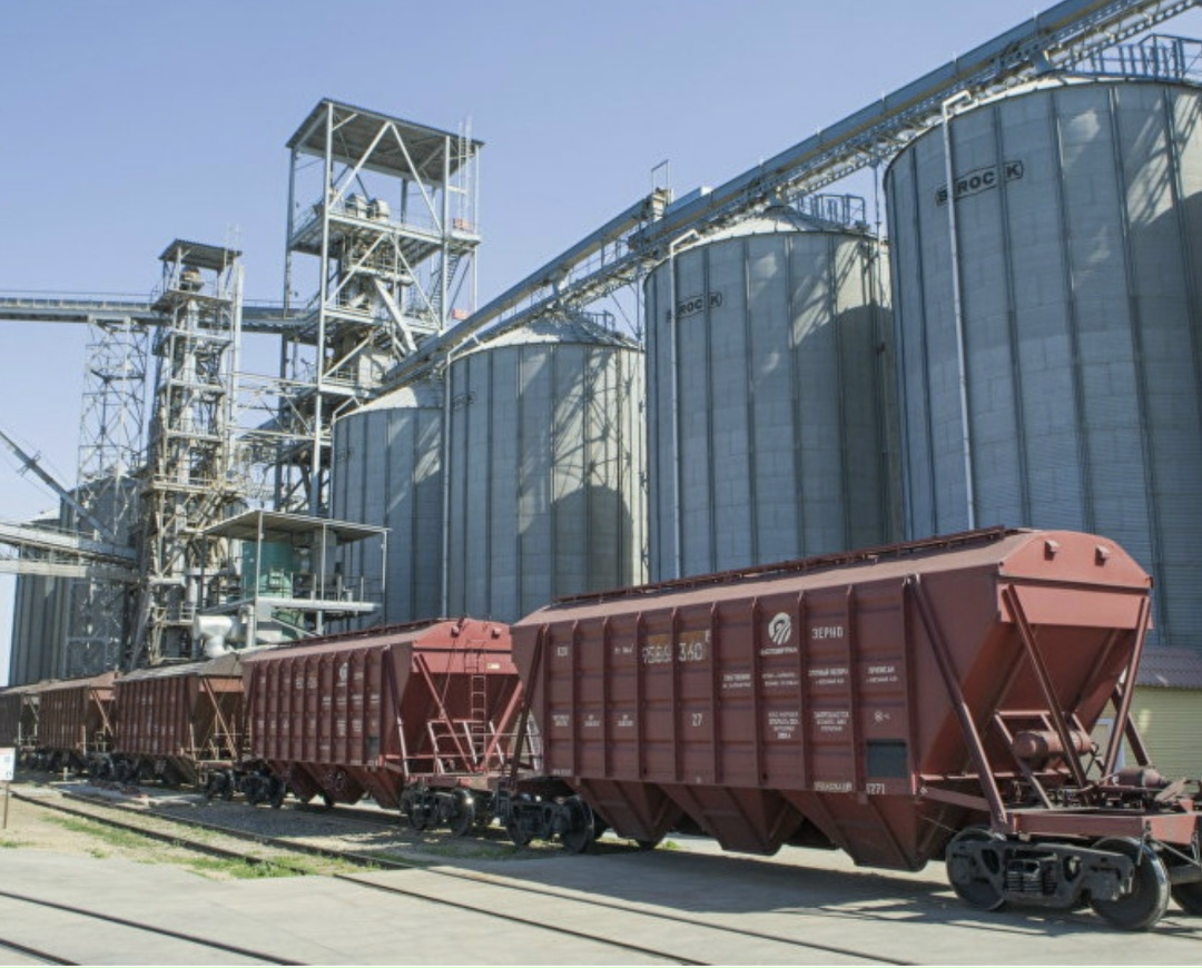 ГК «Новый сухопутный зерновой коридор» (НСЗК) может стать ключевым поставщиком зерна для сельскохозяйственного кластера в свободной экономической зоне Харбина