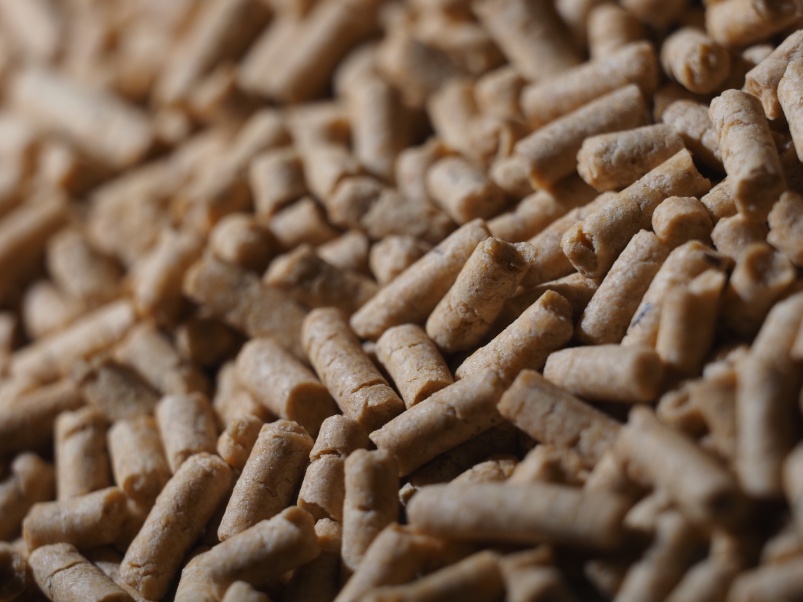 На страже здоровья и продуктивности коров