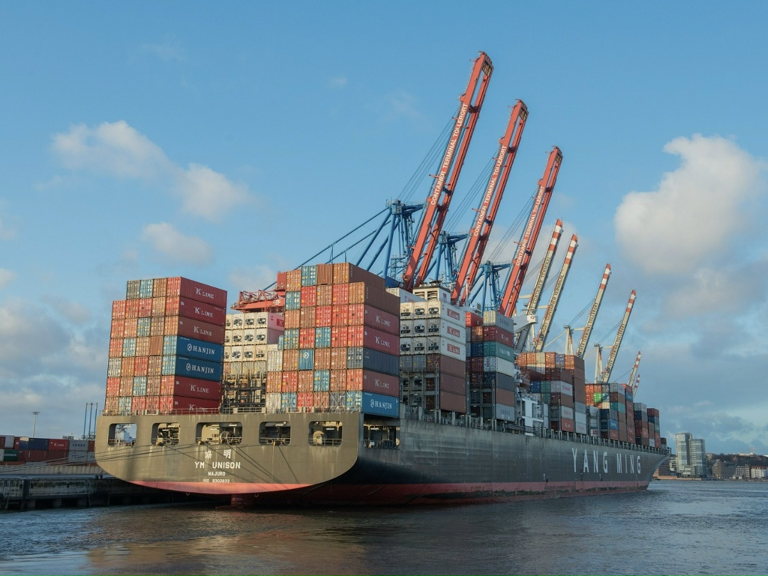 В 2025 году доля продукции с высокой добавленной стоимостью в структуре поставок за рубеж составила 48%. Об этом руководитель федерального центра «Агроэкспорт»…