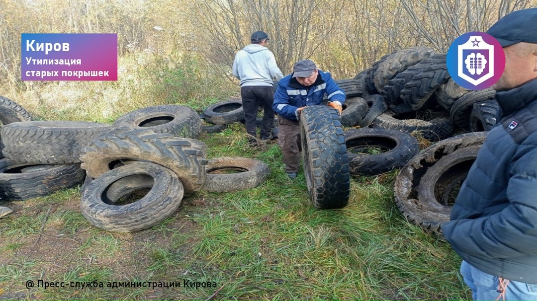 #Когнитивная_Витаминка Выпуск №325
14.04.2026