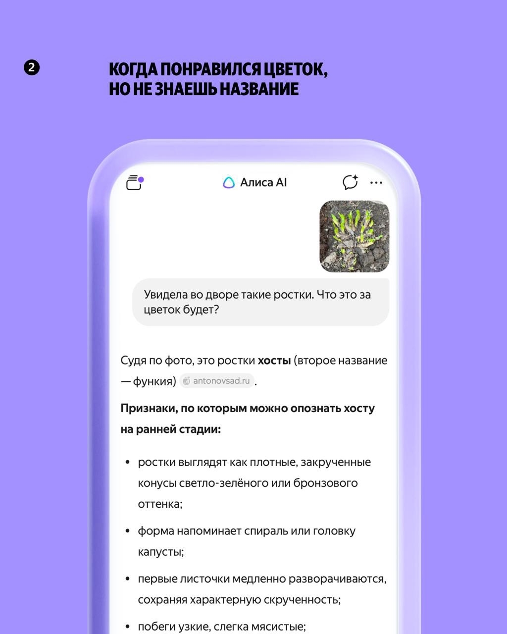 Казалось бы, зачем старшему поколению ИИ? Собрали пять бытовых ситуаций, в которых нейросеть делает жизнь гораздо проще