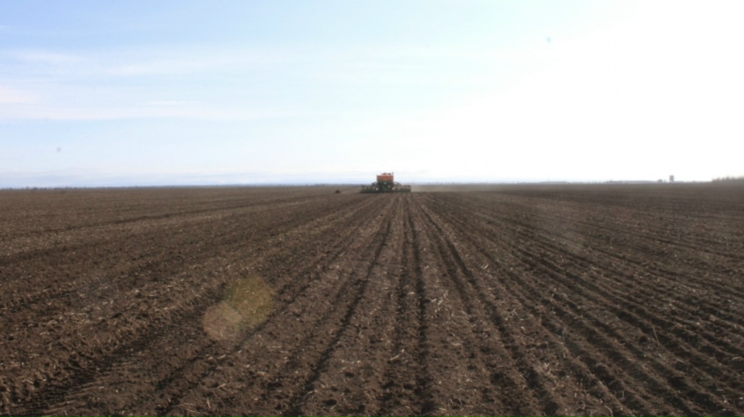 Динамика ярового сева из-за погодных условий немного ниже, чем в 2025 году, засеяно уже 2,3 млн га, сказала министр сельского хозяйства Оксана Лут на заседании…