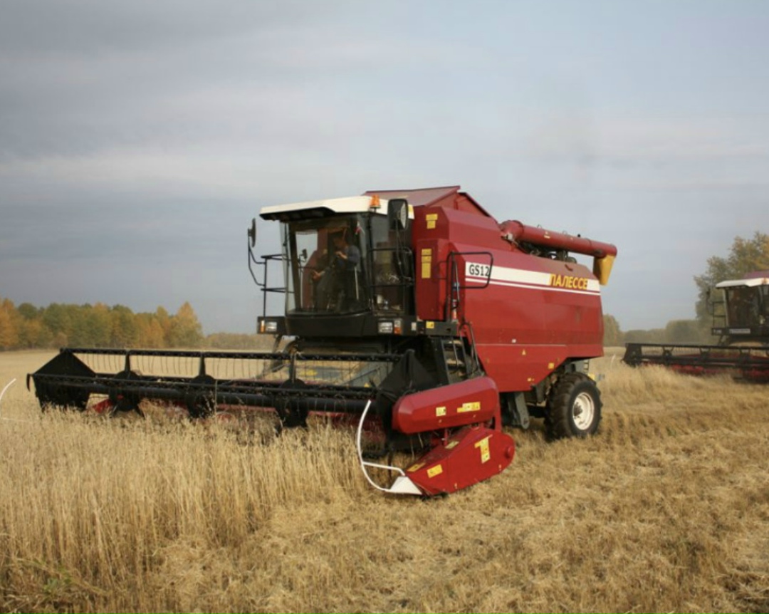 Целевые показатели по обновлению сельхозтехники в России в 2025 году достигнуты с учетом белорусских машин. Об этом сказал замглавы ведомства Альберт Каримов…