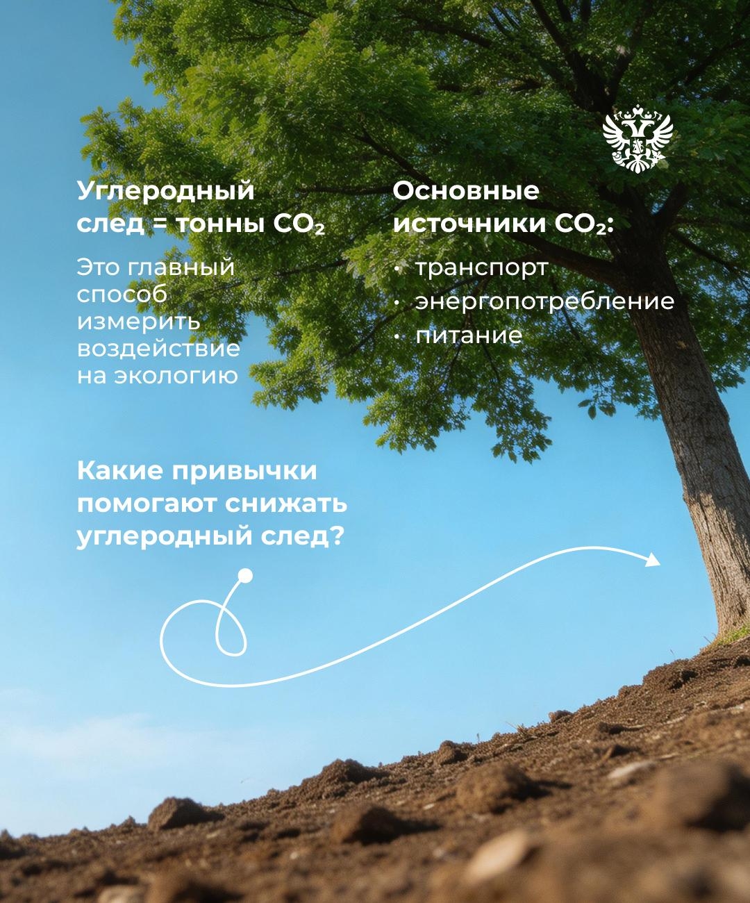 Экологичность — это удобно В День экологических знаний рассказываем, как формируется экологичная экономика и что вы можете делать каждый день, чтобы сохранить…