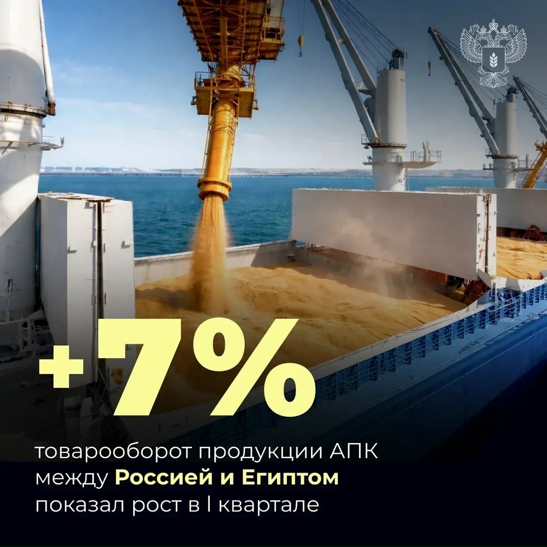 Товарооборот продукции АПК между Россией и Египтом за I квартал вырос на 7%