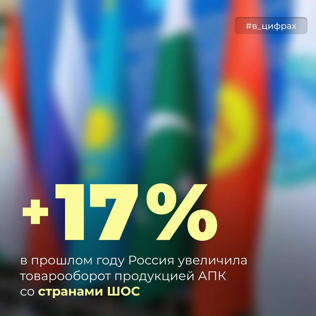 Торговля продукцией АПК между Россией и странами ШОС выросла на 17% в прошлом году